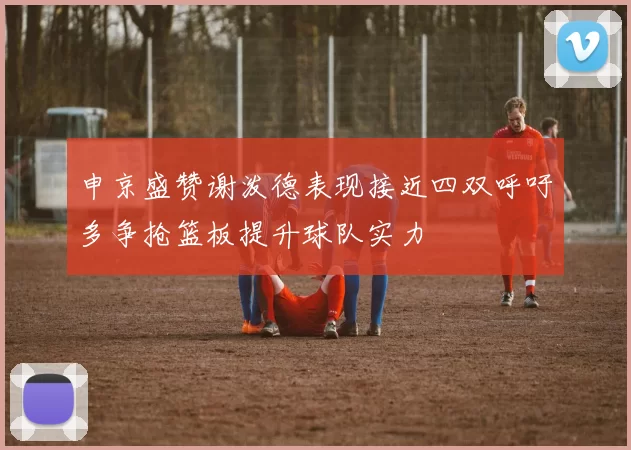申京盛赞谢泼德表现接近四双呼吁多争抢篮板提升球队实力